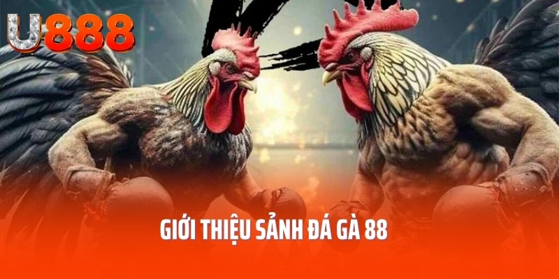 da-ga-88-gioi-thieu