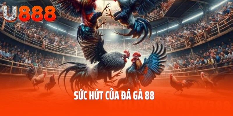 da-ga-88-uu-diem
