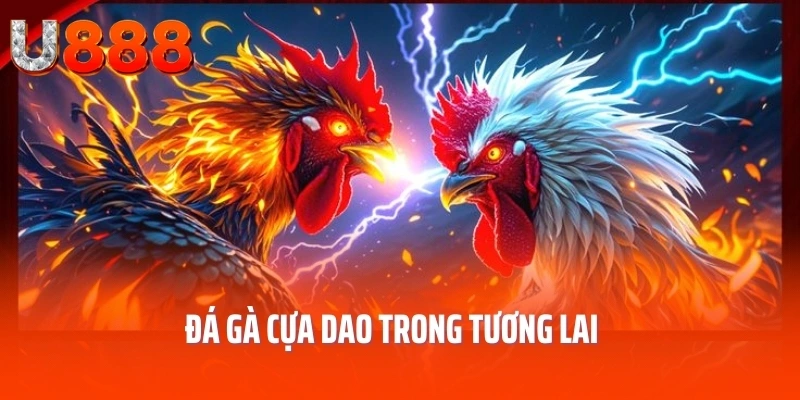 da-ga-cua-dao-dinh-huong