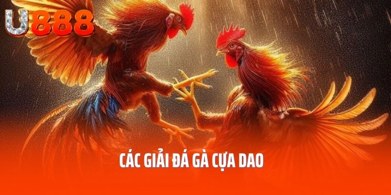 da-ga-cua-dao-loai-hinh
