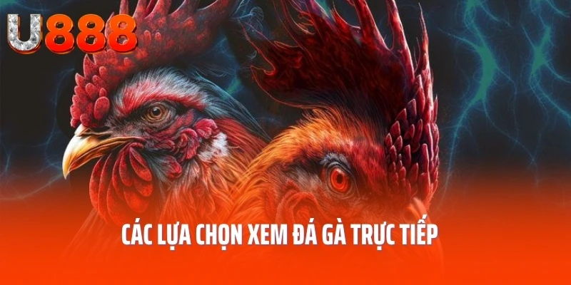 da-ga-truc-tiep-hinh-thuc