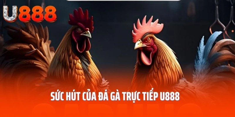 da-ga-truc-tiep-uu-diem