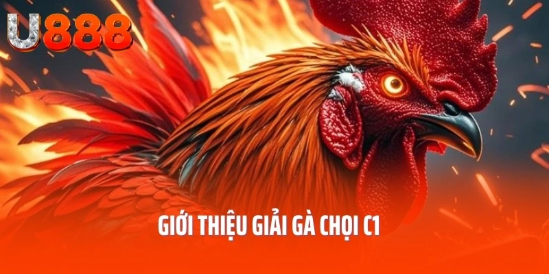 ga-choi-c1-gioi-thieu