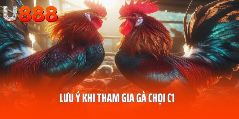 ga-choi-c1-luu-y